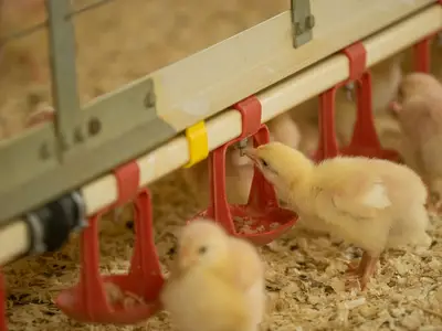 ...z.B. der Tr&auml;nke