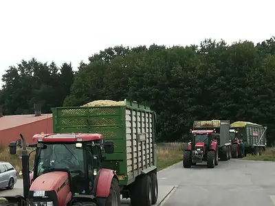 Mais ernten - wie viel ist geladen?