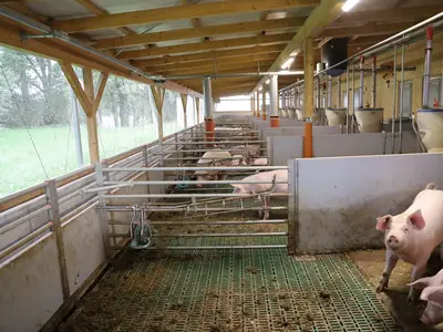 Viel Platz mit Au&szlig;enklima