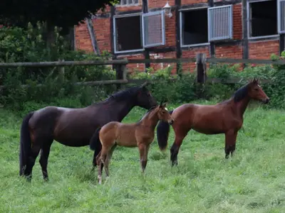 Mutter und T&ouml;chter