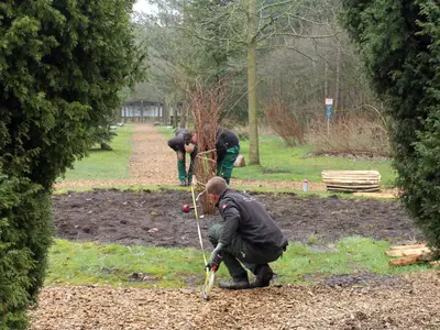 Neuanlagen, Umgestaltung und Pflege von Grünanlagen.