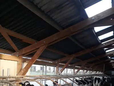 Die Zeichen der Tiere richtig deuten