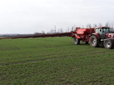 Johannes W&uuml;stemann