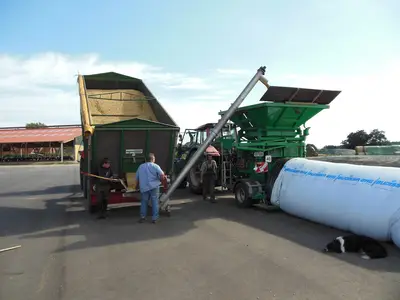 Ackerbohnen in Schlauchsilage gemahlen