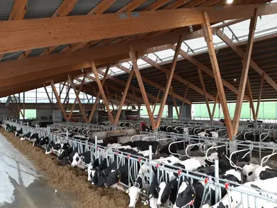 Innenansicht vom Stall 