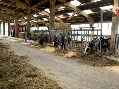 grossz&uuml;giger Strohstall