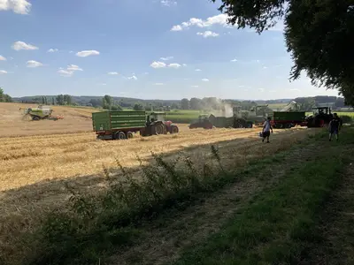 Getreideernte mit fahrbarer M&uuml;hle