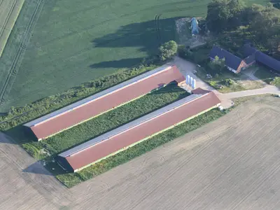 Luftbild Putenstall