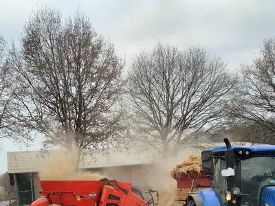 K&uuml;he f&uuml;ttern