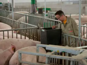 Kontrolle im Wartestall