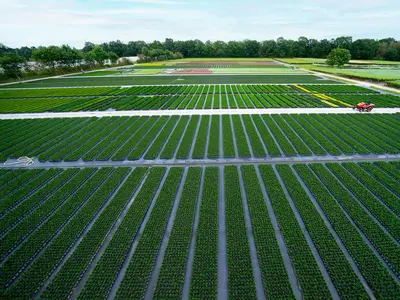 Renke zur M&uuml;hlen Pflanzen GmbH