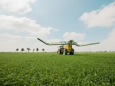 Pflanzen sch&uuml;tzen