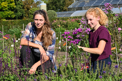 Ausbildung Staudengärtnerei Talente gesucht