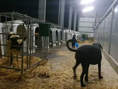 K&auml;lberkontrolle