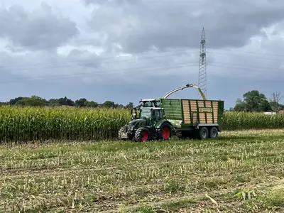 Fendt 516 bei der Maisernte