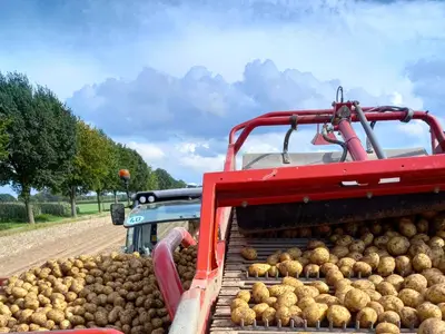 Auf dem Kartoffelroder