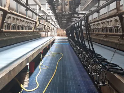 Melkstand 24er Swing Over mit Wartehof