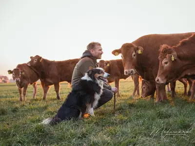Betriebsleiter Marten mit seinem H&uuml;tehund Spike in der Limosinherde