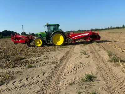 Zwiebeln schwadlegen