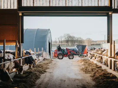Impressionen Kuhstall