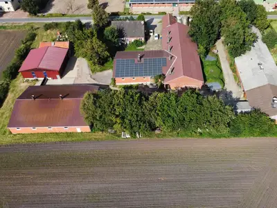 Sauen und Ferkelaufzucht