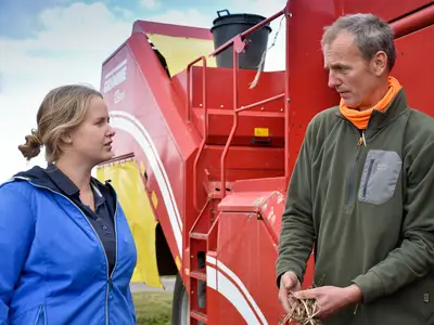 Was ist bei der Kartoffelernte zu beachten