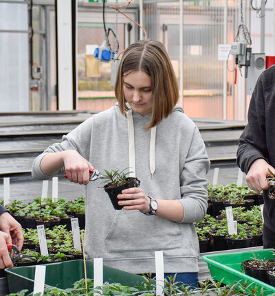 Ausbildung im Zierpflanzenbau