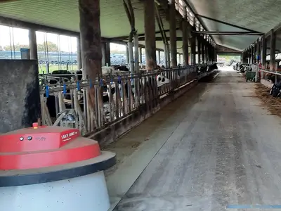 Arbeitsgebiet von unserem Charly