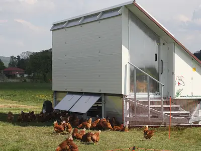 Unser H&uuml;hnermobil