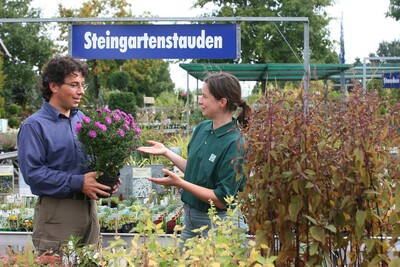 Stauden