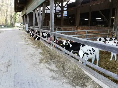 Biohof Mojenhop GbR - Hermann und Henning Borchers
