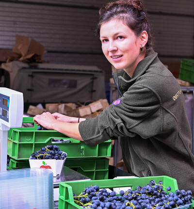 Ausbildung Obstbau