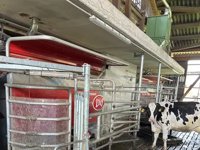 Melkroboter Stallansicht