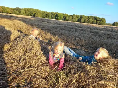 Die 3 Nachwuchstalente