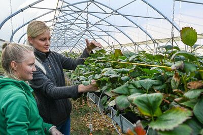 Ausbildung Obstbau