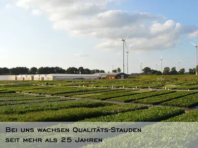 Containerfl&auml;che, alles gut sortiert