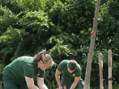 Gemeinsam den Ballen f&uuml;r den Versand vorbereiten