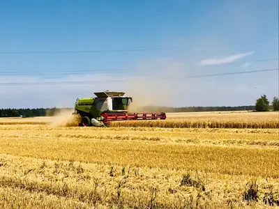 Claas Lexion 770 TT M&auml;hdrescher in Aktion