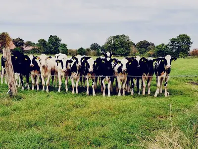 Johann und Wilke Harms-Jan&szlig;en GbR