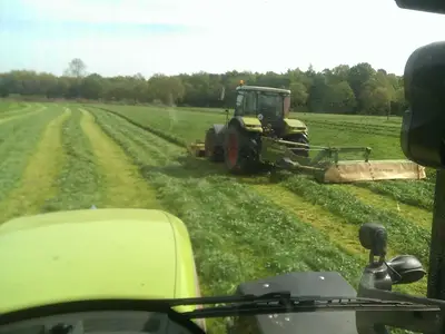 Gras m&auml;hen und anschlie&szlig;end zetten 