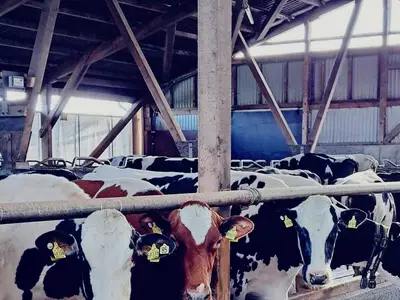 Johann und Wilke Harms-Jan&szlig;en GbR