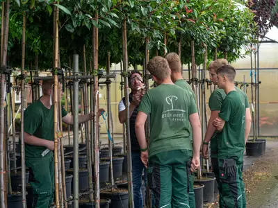 Pflanzenkunde/Azubitag