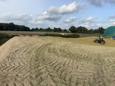 Maisernte Biogasanlage