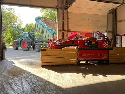 Einlagerung der Pflanzkartoffeln