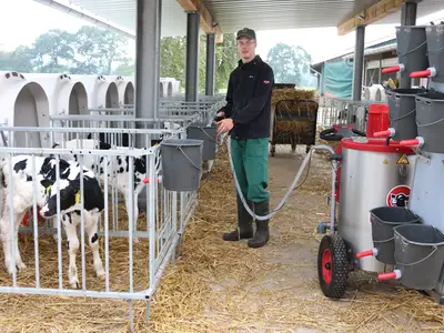 K&auml;lber f&uuml;ttern mit dem Milchtaxi