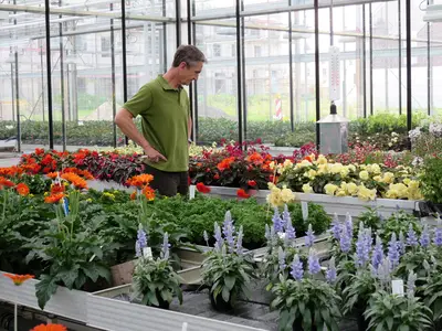 Wer die Wahl hat, hat die Qual - Aussuchen der Pflanzen f&uuml;r die Pflanzgef&auml;&szlig;e