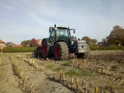 Gr&uuml;nd&uuml;ngung