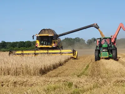 Getreideernte