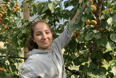 Aktivitäten im Obstbau
