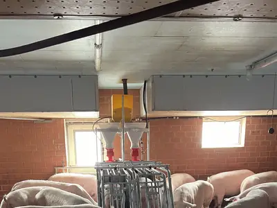 Gruppenhaltung Wartestall